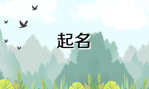 生肖起名喜用字有哪些名字