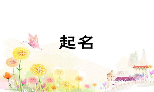 珠宝公司起名的字有哪些