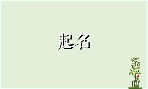 药品的起名法律规范有哪些