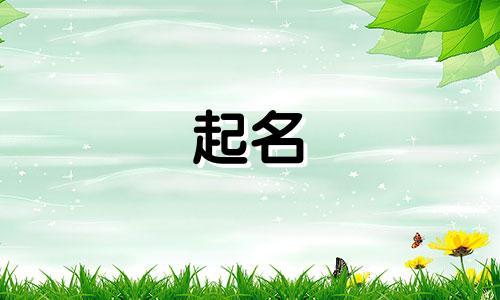 用水字起名的白酒有哪些