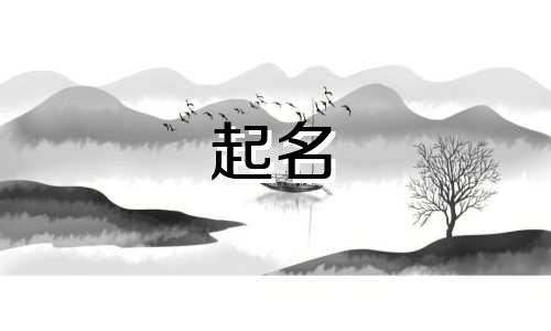 起名最新的梗有哪些名字