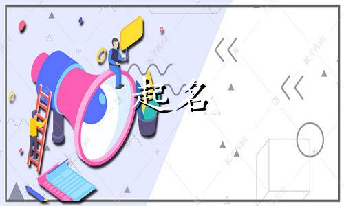 有关猫的公司起名有哪些