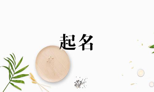 男孩起名专用字体有哪些