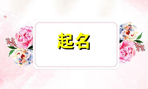 女团起名韩文名字有哪些