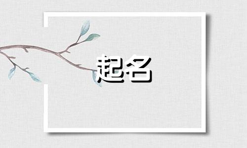 小橘猫起名叠词有哪些