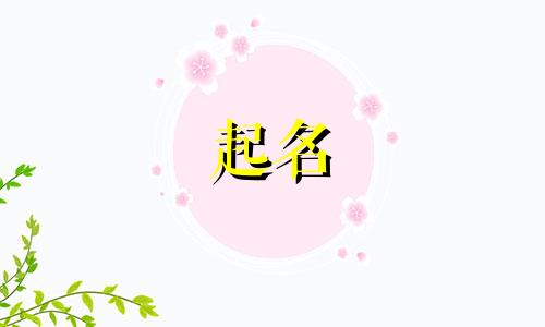 学校活动起名公式有哪些