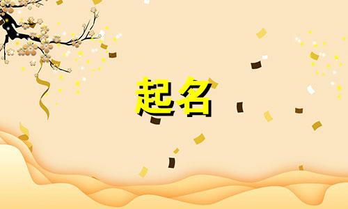 网站起名规则有哪些内容