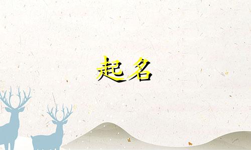 名字起名大气的字有哪些