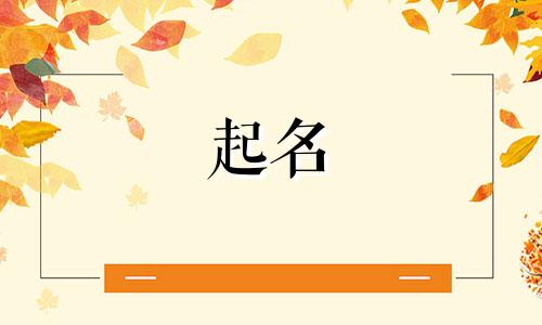 用网名起名神器软件有哪些