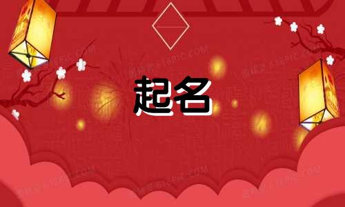 模型行业起名字有哪些