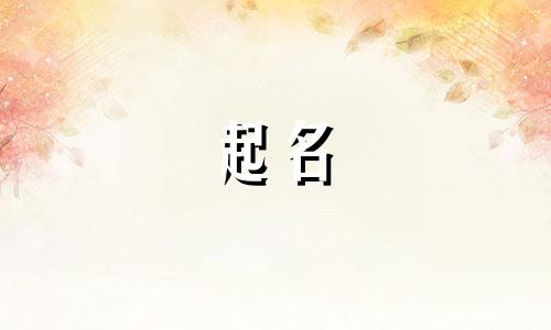 起名简约大方的字有哪些