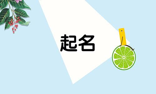 航天海报起名软件有哪些