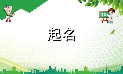 公司起名核名神器有哪些