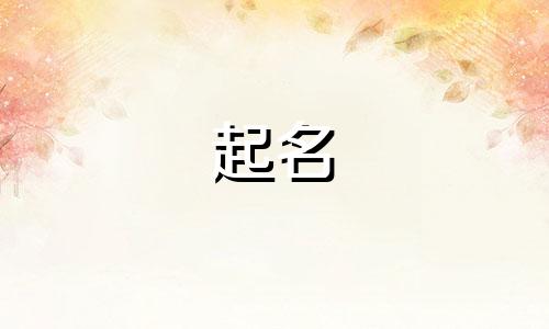 小孩起名的网站有哪些名字