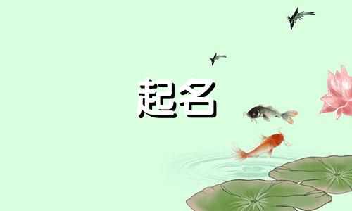 起名取名字曲子有哪些