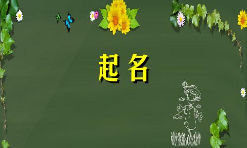 孩子起名趣闻有哪些方面