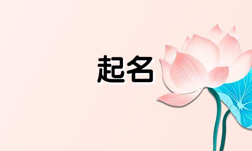 域名的起名技巧有哪些内容