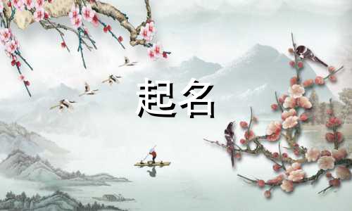 摄影师起名技巧有哪些