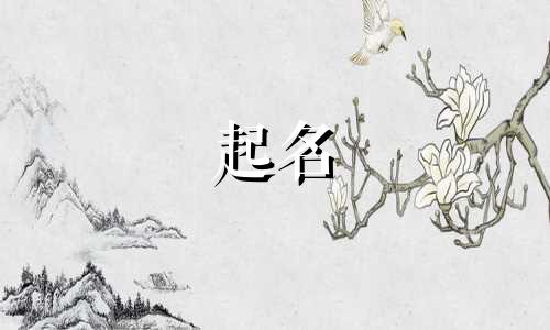 看头像起名软件有哪些免费