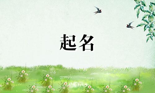 羊年起名适用字有哪些名字