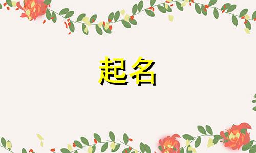 冷门简单的起名用字有哪些