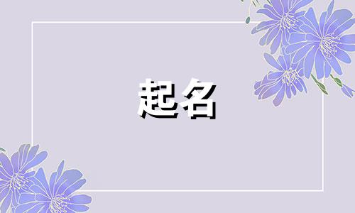 茶室起名神器小程序有哪些