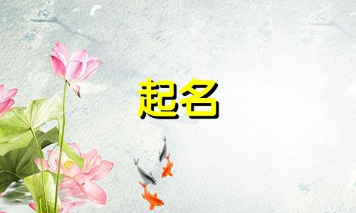 乐队起名时尚的名字有哪些