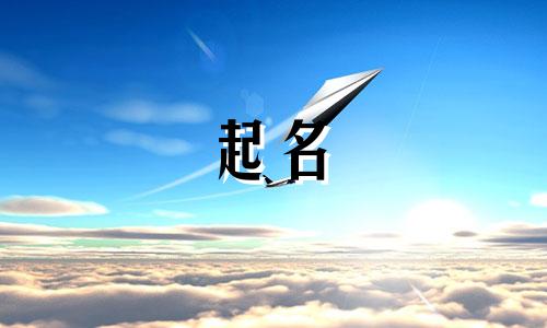 情感起名小程序有哪些名字