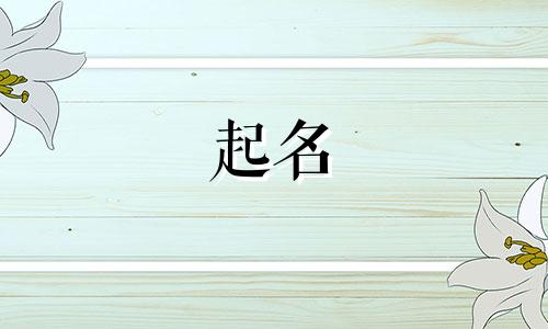 另类的商标起名说法有哪些