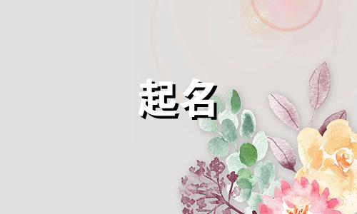 宝宝起名最好的网站有哪些