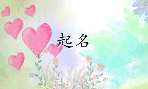 大连有名起名专家有哪些