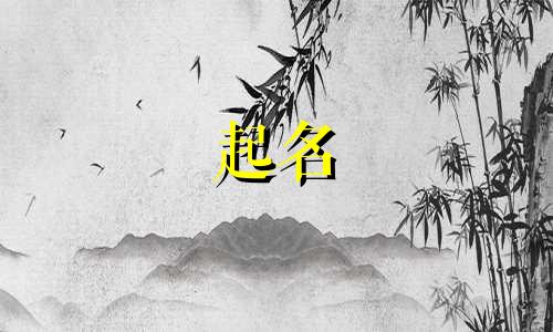 属鼠的人起名有哪些禁忌