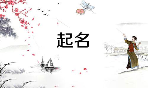 公司起名用哪些字合适女生