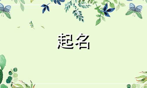 起名算命小程序有哪些软件