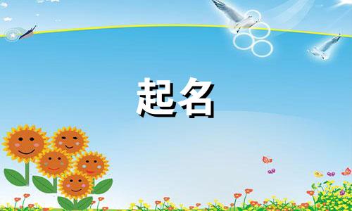 体校起名有哪些好听的名字