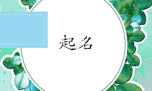 起名兄妹中间字有哪些名字