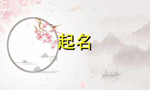 直播起名要素有哪些呢英文