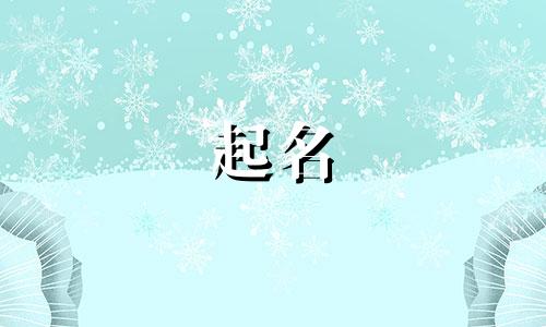 南阳道路起名字有哪些