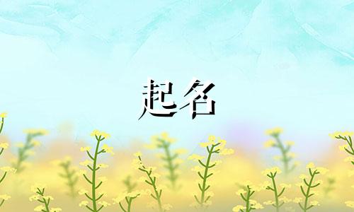 香港玄学起名大师有哪些