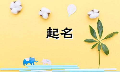 体育的起名软件有哪些好用