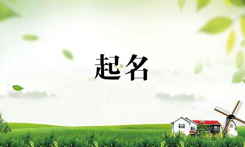 商洛起名专家有哪些人物