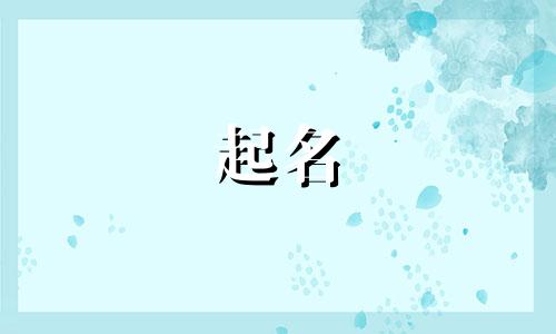 柯基起名特色有哪些字体