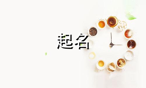 蔡姓起名不用哪些字母好听