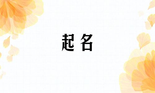 起名算命大师有哪些软件