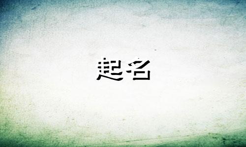 兔宝宝起名易用字有哪些