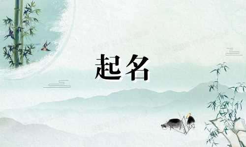 石头起名方法有哪些呢视频