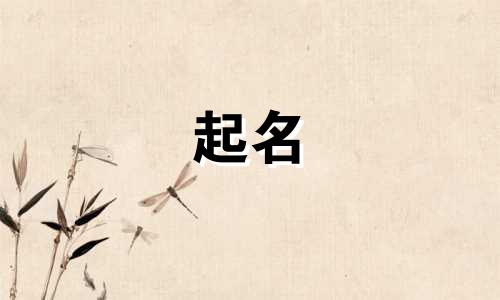 十三画起名用字有哪些名字