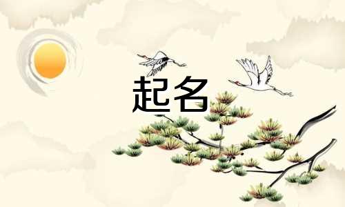 西安起名虎宝宝公司有哪些