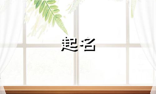 哪些树适合公司起名字