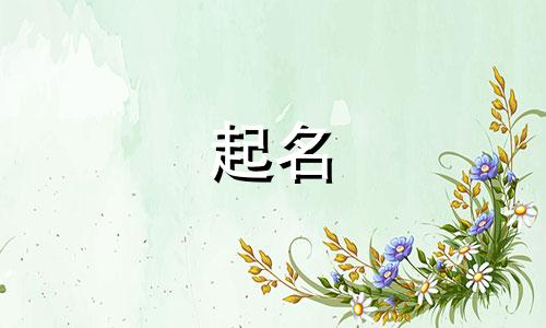 兔宝宝哪些字起名好男孩